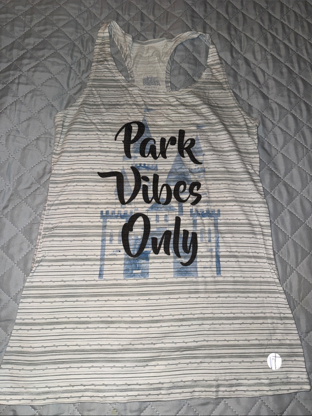 Raw Threads Park Vibes Only Women's Striped Tank Top - Light Gray & Blue